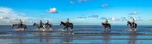Galveston Island Horse and Pony Rides place picture