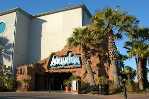 Aquarium Restaurant place picture