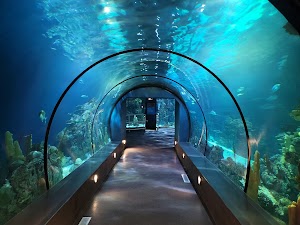 Moody Gardens Attractions Theme Park place picture