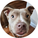 Marty Miller profile picture