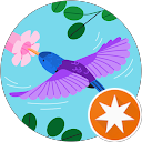 Sparkles333 profile picture